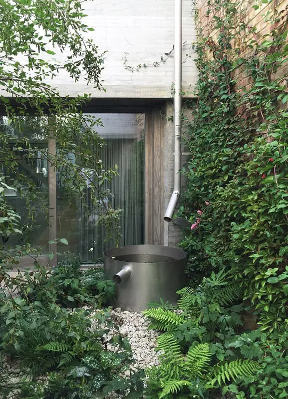 juergen teller garden design