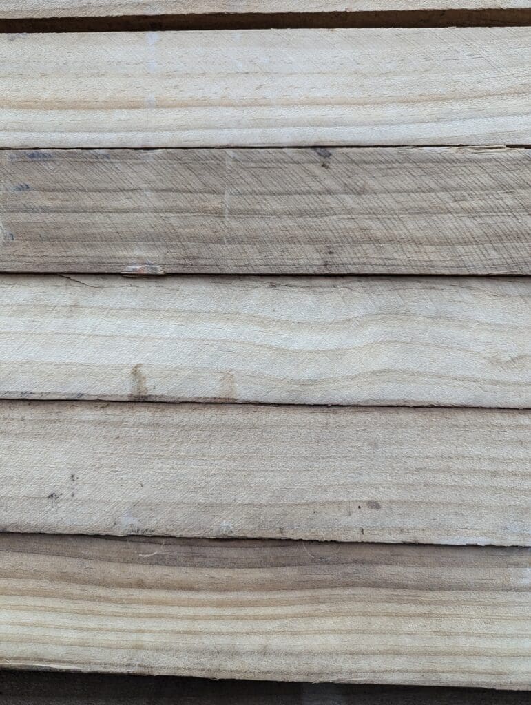 Accoya